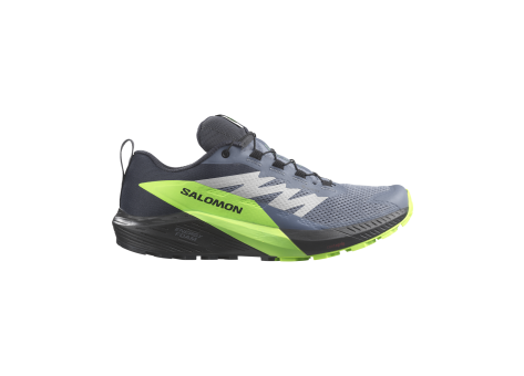 Salomon Sense Ride 5 GORE TEX GTX (L47312800) grau