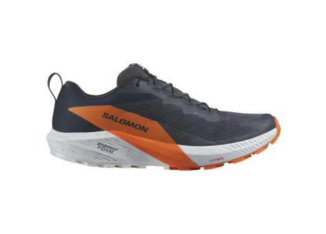 Salomon Sense Ride 5 GORE TEX GTX (L47459400) blau