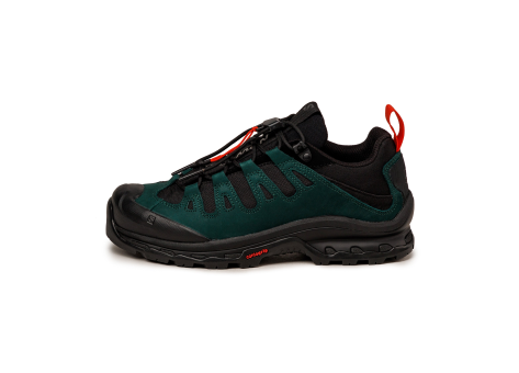Salomon Quest 2 x Low Ponderosa Pine GR10K (L47771500) bunt