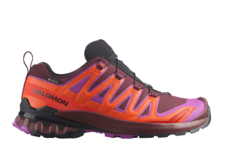 Salomon XA Pro 3D V9 GTX (L47961900) bunt