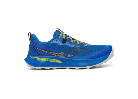 Saucony Peregrine 15 (S20990-161-420) blau