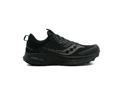Saucony Ride TR2 GTX (S10953-14) bunt