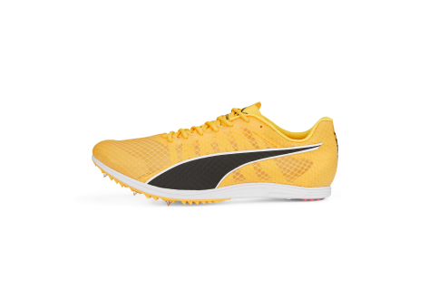 PUMA evoSPEED Distance 11 (377961-01) gelb