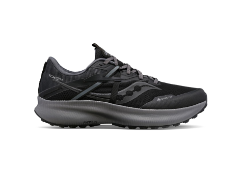 Saucony Ride 15 TR GTX (S20799-10) schwarz