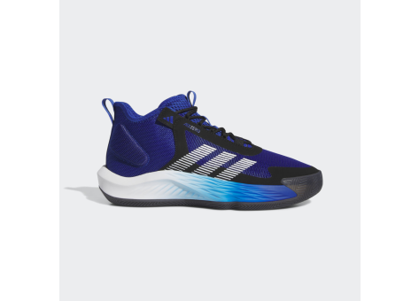 adidas Adizero Select Team (IE9320) blau