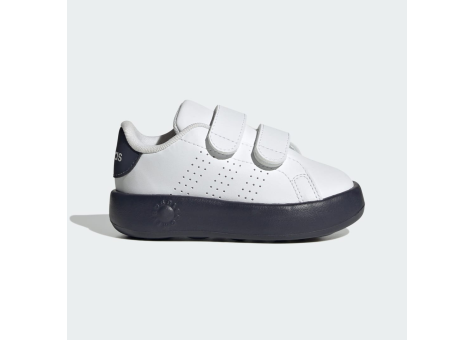 adidas Advantage (JI4192) bunt