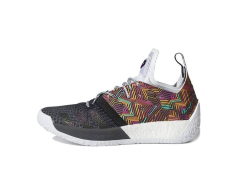 adidas Harden Vol. 2 (AQ0048) bunt