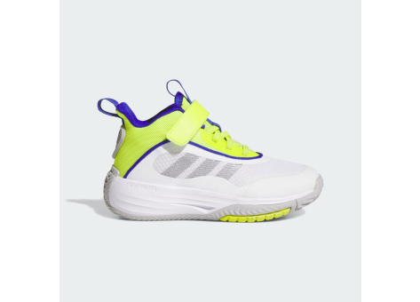 adidas Ownthegame 3.0 (JI0394) bunt