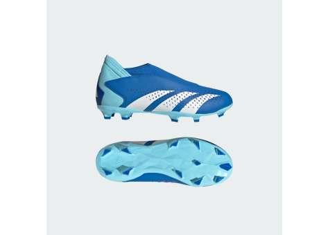 adidas Predator Accuracy.3 Laceless FG (IF2266) blau