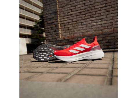 adidas Ultraboost 5X rot IH0637 Preisvergleich