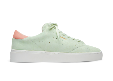 Axel Arigato Court Suede (F2807002) grün