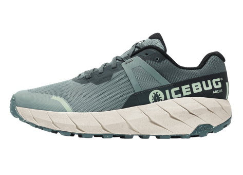 Icebug Arcus RB9X GTX (XH73001-0C) grau