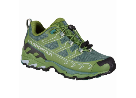 La Sportiva Ultra Raptor II GTX (34O-718714) grün