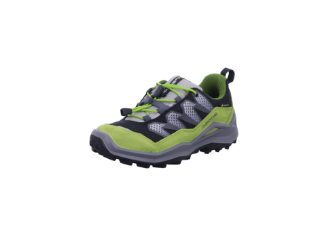 Lowa Maddox Pro GTX LO (641627-9903) bunt