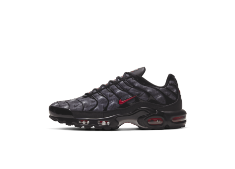 Nike Air Max Plus Topography Pack (DJ0638-001) schwarz