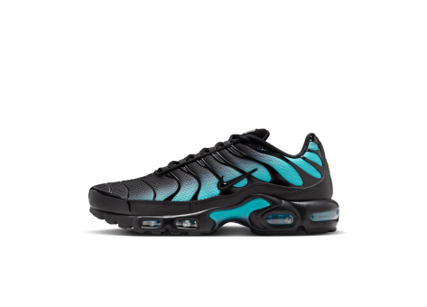 Nike Air Max Plus Dusty Cactus (DM0032 016) bunt
