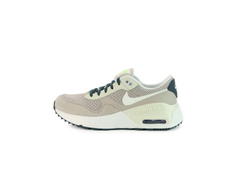 Nike Air Max GS (DQ0284-005) grau