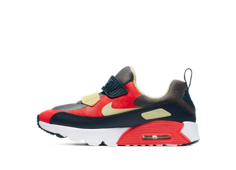Nike Air Max Tiny 90 (881927-023) bunt