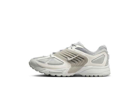 Nike Air Pegasus Wave (IB0612-003) grau