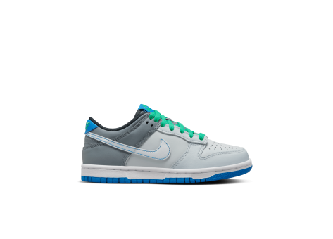 Nike Dunk Low GS (DH9765-004) bunt