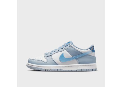 Nike Dunk Low Next Nature GS (FJ4668-400) blau