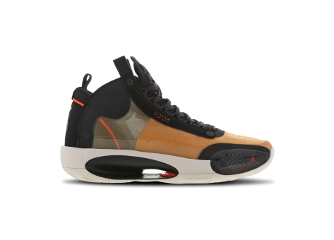 Jordan 34 PF (BQ3381-800) bunt