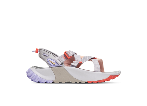 Nike Oneonata Gray (DJ6601-003) bunt