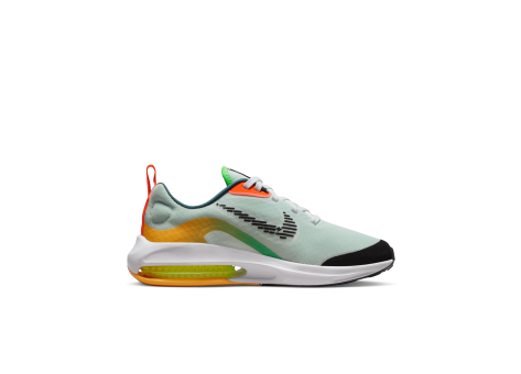 Nike Air Zoom Arcadia 2 (DX6067-301) bunt