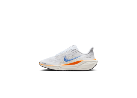 Nike Pegasus 41 (HM4820-100) weiss