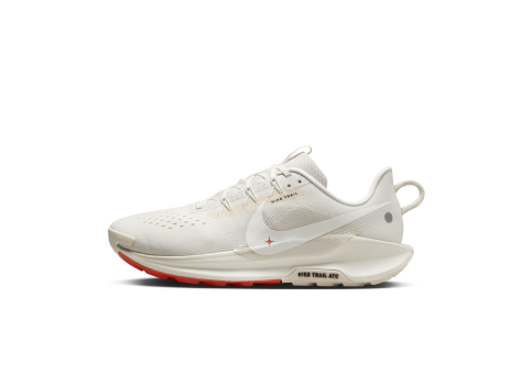 Nike Pegasus Trail 5 (DV3864-003) weiss