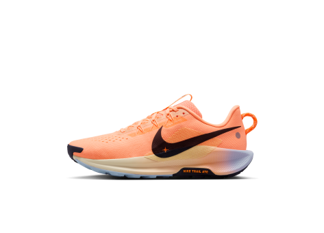 Nike Pegasus Trail 5 (DV3864-800) orange