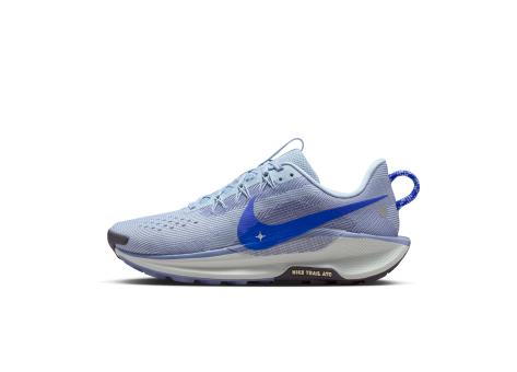 Nike Pegasus Trail 5 (DV3865-403) blau