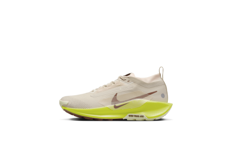 Nike Pegasus Trail 5 GORE TEX (FQ0912-101) braun