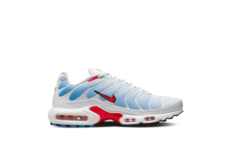 Nike Air Max Plus Tide 2022 (604133-423) bunt
