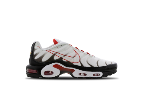 Nike Air Max Plus (CK9392-100) bunt