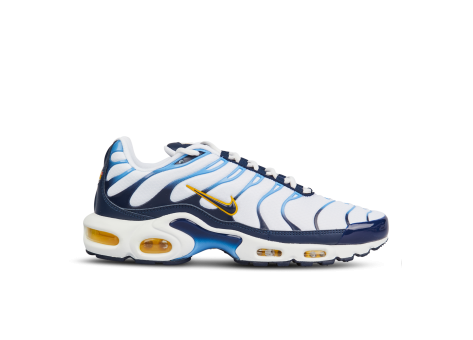 Nike Air Max Plus Navy Gold (CT1094-100) bunt