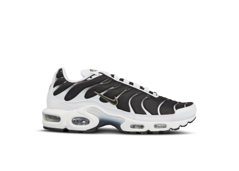 Nike Air Max Plus (CT1094-102) bunt