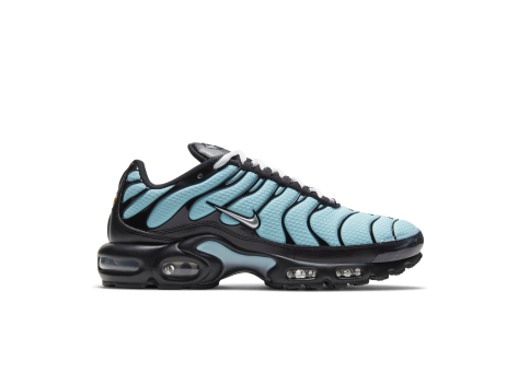 Nike Air Max Plus Aqua Blue (CV8838-400) bunt