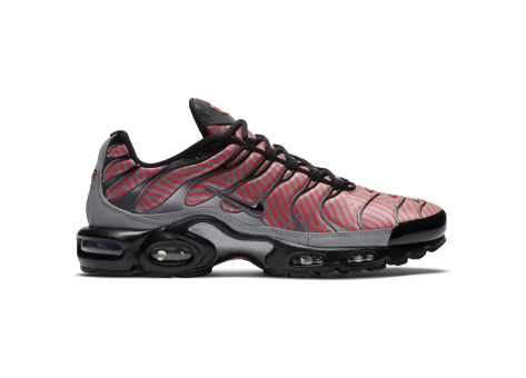 Nike Air Max Plus (CW7575-100) bunt