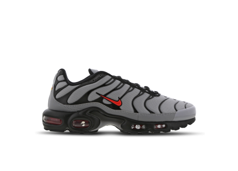 Nike Air Max Plus (DC1936-002) bunt