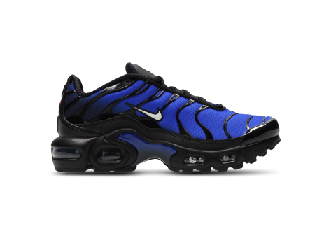 Nike Air Max Plus schwarz HM9616 001 Preisvergleich