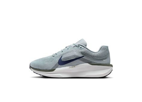 Nike Winflo 11 Air (FJ9509-003) grau