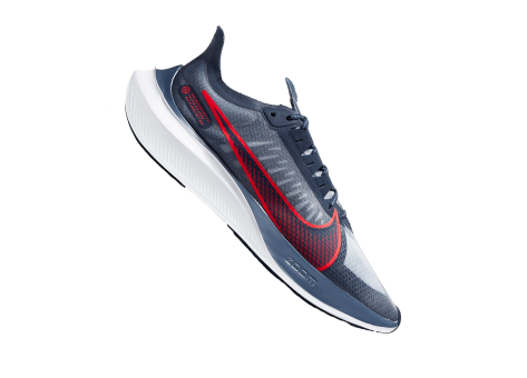 Nike Zoom Gravity (BQ3202 400) bunt