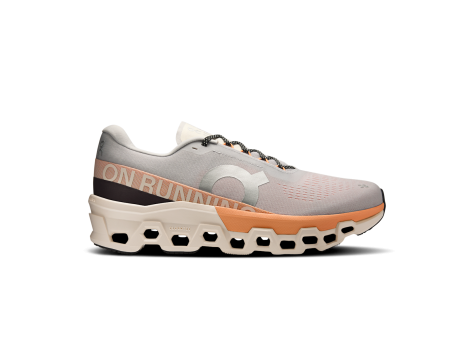 ON Cloudmonster 2 (3ME10123198) bunt