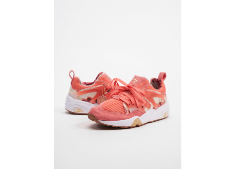 PUMA Bog x Careaux Blaze Of Glory (361525 01) pink