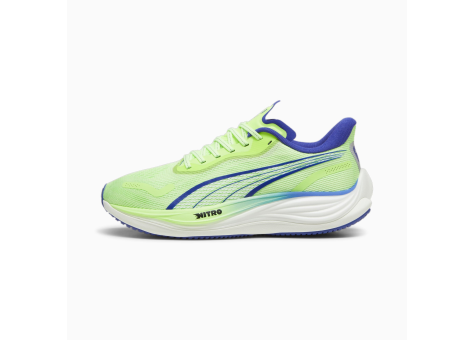 PUMA Velocity NITRO 3 (377748_13) bunt