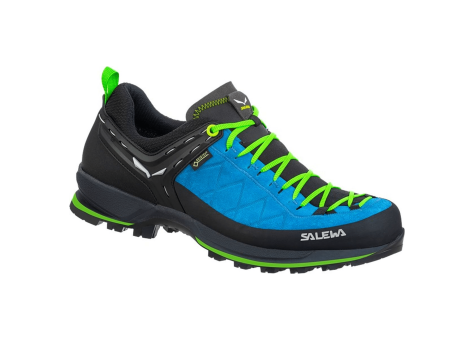 Salewa Trainer MTN GTX 2 (61356-8375) blau