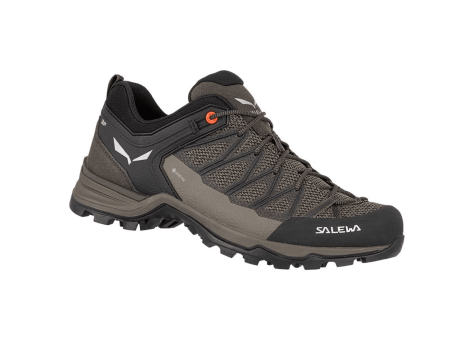 Salewa Mountain Trainer Lite GORE TEX (61361-7512) braun