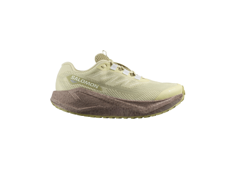 Salomon Aero Blaze 3 GRVL GTX W (L47978400) beige