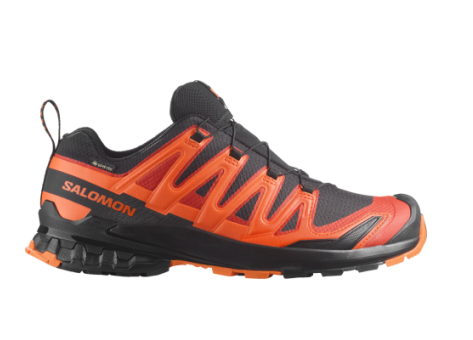 Salomon XA Pro 3D V9 GTX (L47961000) bunt